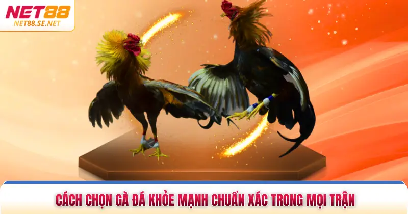 Cách Chọn Gà Đá Khỏe Mạnh Chuẩn Xác Trong Mọi Trận