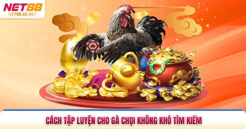 Cách tập luyện cho gà chọi không khó tìm kiếm